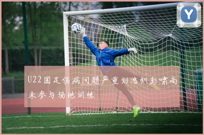 U22国足伤病问题严重刘浩帆彭啸尚未参与场地训练