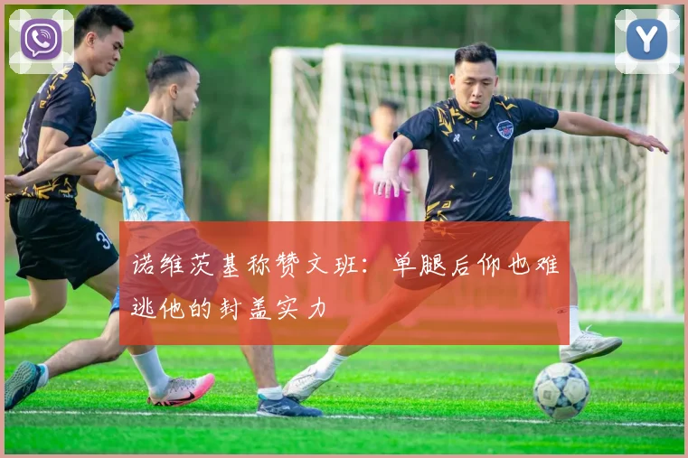 诺维茨基称赞文班：单腿后仰也难逃他的封盖实力
