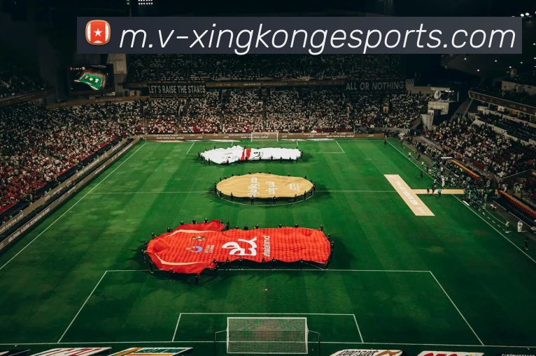 多媒体互动体验