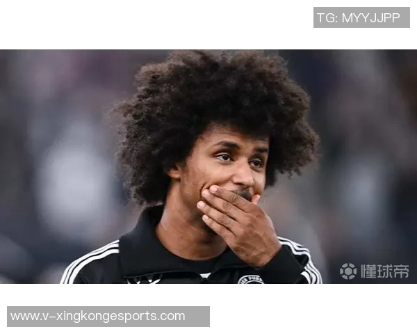 阿德耶米因非法持有武器被罚款45万欧元引发广泛关注